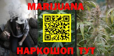 индика Пушкино