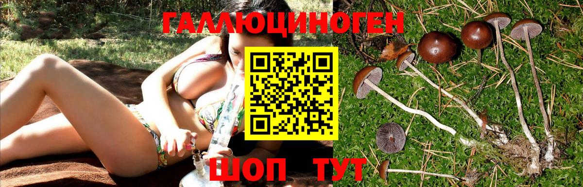 Псилоцибиновые грибы GOLDEN TEACHER  Вход с VPN  где купить наркоту  Советск 