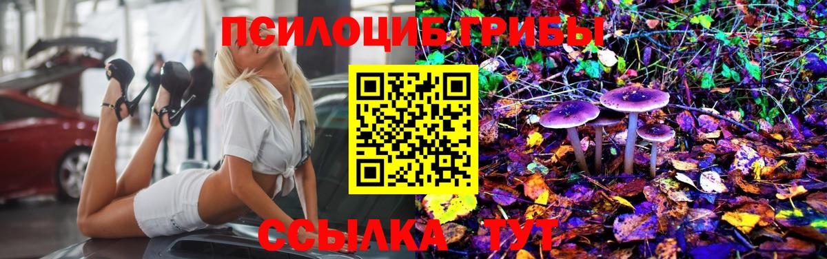 Галлюциногенные грибы GOLDEN TEACHER Советск