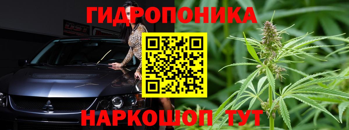 Каннабис сатива  Бошки марихуана VHQ  Вход с VPN  Советск 